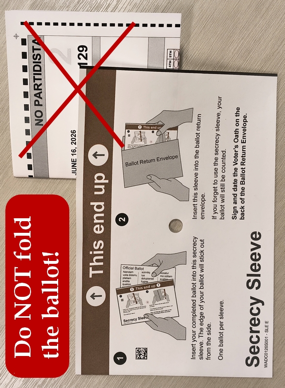 Mail-Vote-3.jpg